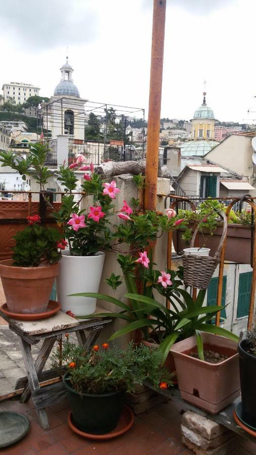 Hotel Il Geco Genova Esterno foto