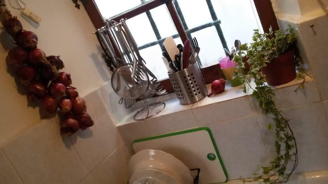 Hotel Il Geco Genova Esterno foto